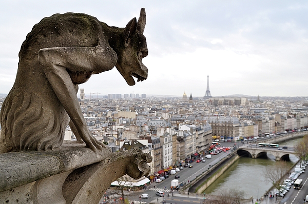 Notre Dame Paris France French Cathedral Gargoyle Statue Premium T-Shirt Notre Dame Paris France French Cathedral Gargoyle Statue Premium T-Shirt