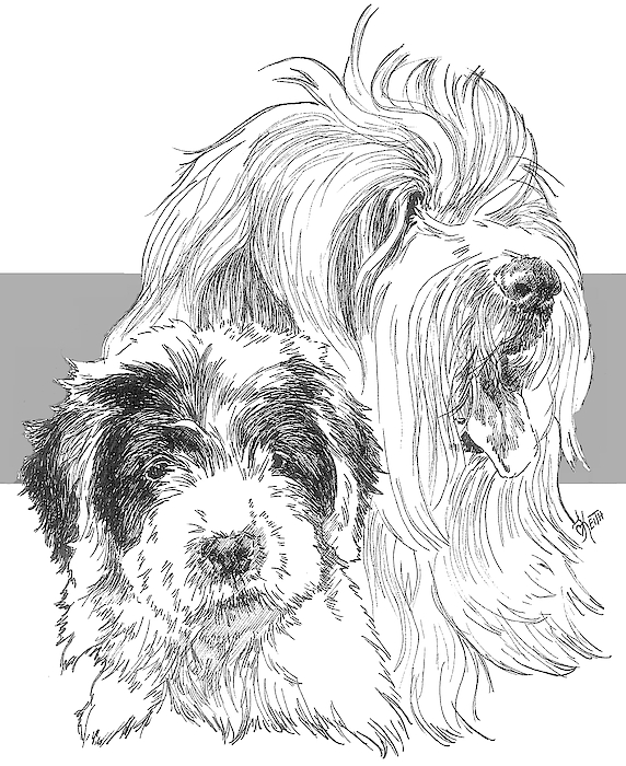 Barbara Keith - Old English Sheepdog and Pup