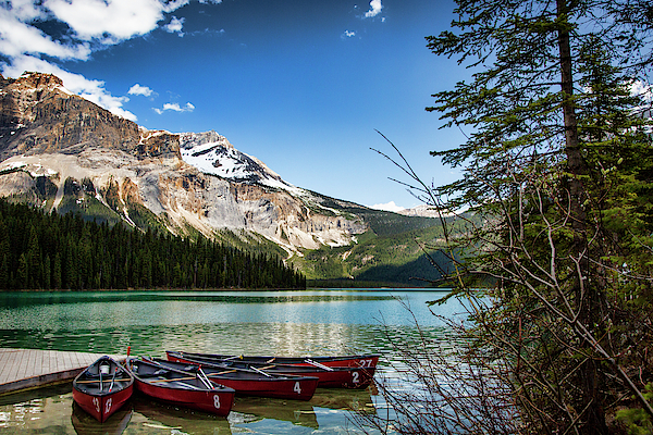 Monte Arnold - Paddles for Emerald Lake