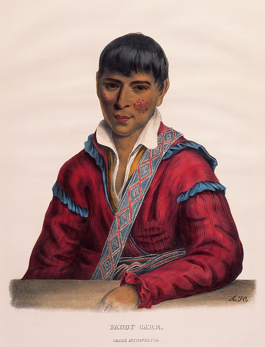 Nineteenth Century Drawings