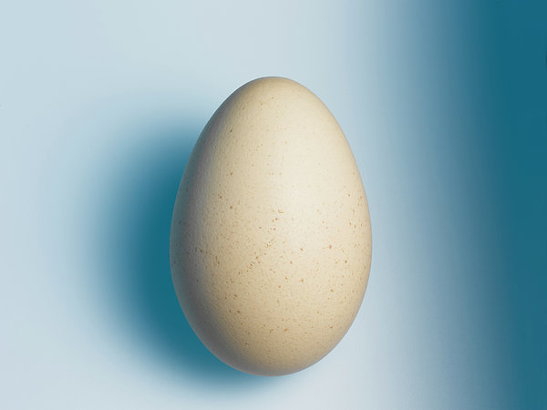 Pale Egg Against Blue Tote Bag