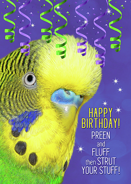 Happy Birthday Stars and Streamers, Fun Birthday Card