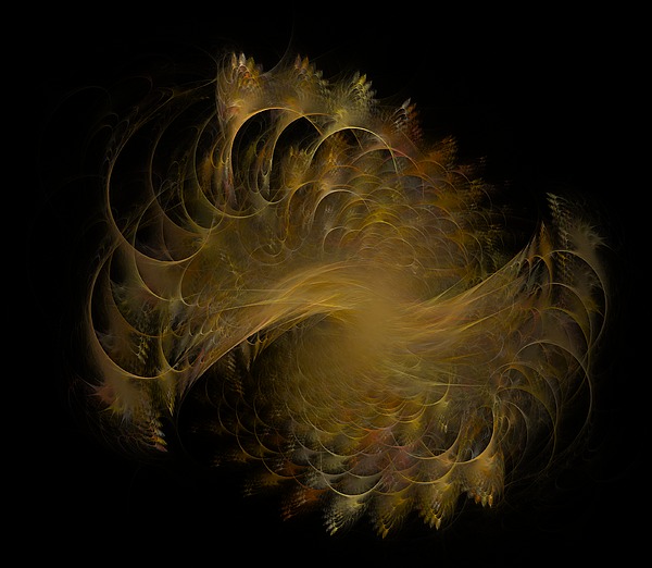 Peacock Fractal Gold Transparent Digital Art