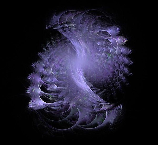 Peacock Fractal Transparent Digital Art