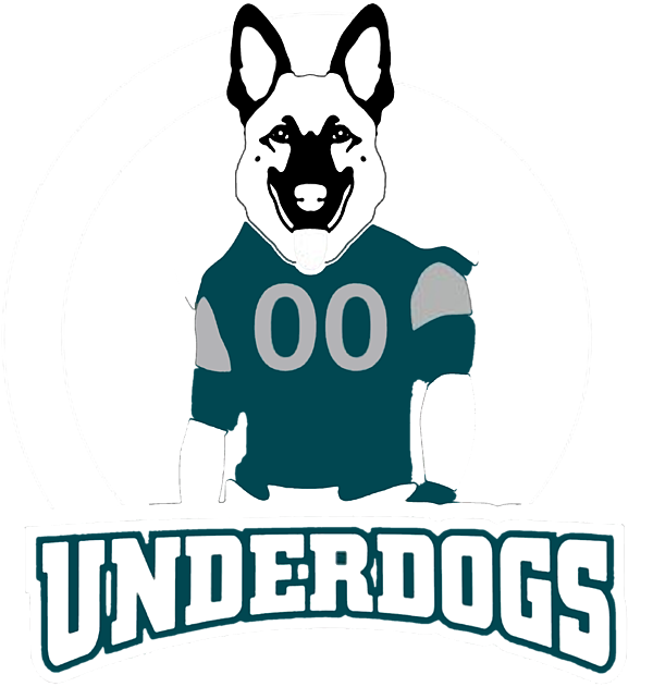 Philadelphia Eagles on X: Underdogs no more. #FlyEaglesFly   / X