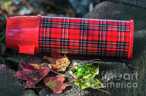 Plaid Thermos - Aladdins Heritage Fleece Blanket by Dale Powell