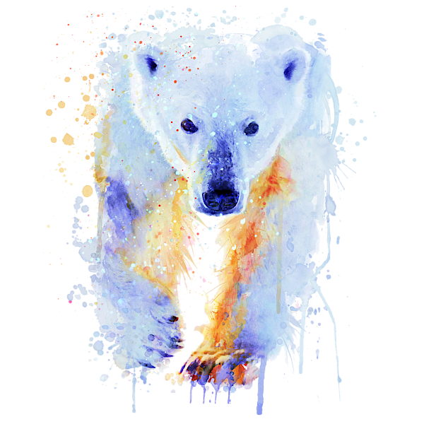 Polar Bear Sticker by Marian Voicu - Fine Art America