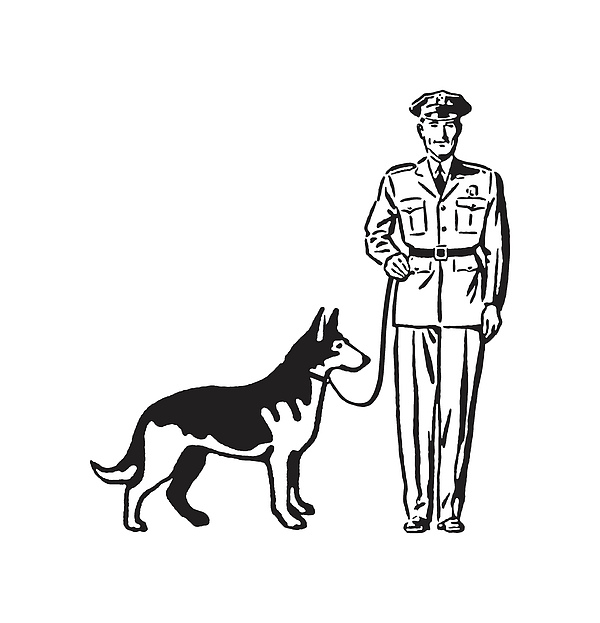 https://images.fineartamerica.com/images/artworkimages/medium/2/policeman-with-german-shepherd-on-leash-csa-images.jpg