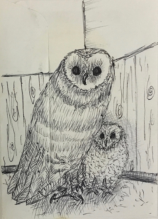 Owl Art