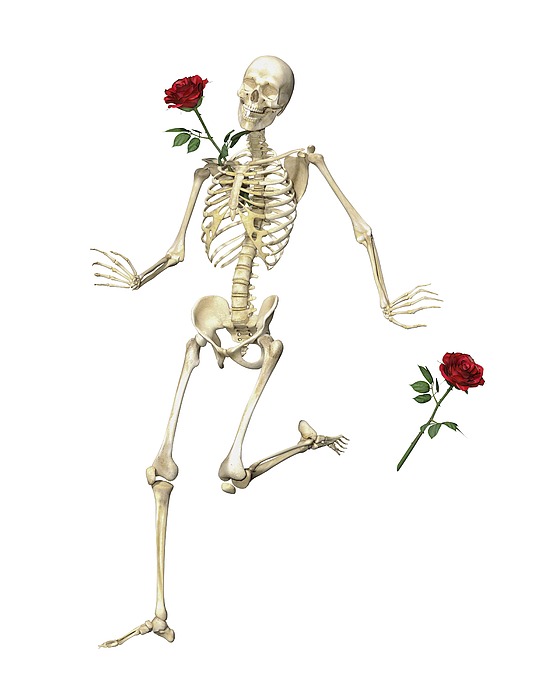 Rambling Rose Running Skeleton Digital Art
