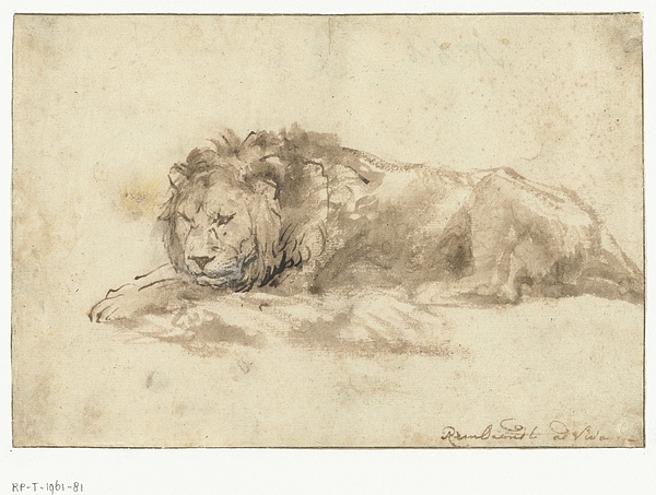 Rembrandt Harmensz - Reclining lion, Rembrandt Harmensz. van Rijn, 1650 - 1659