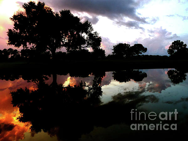 Nature Photographs