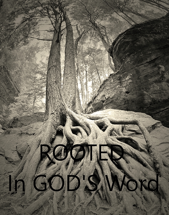 Lisa Wooten - ROOTED In GOD