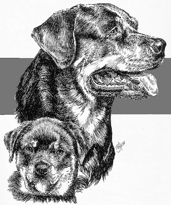 Barbara Keith - Rottweiler and Pup