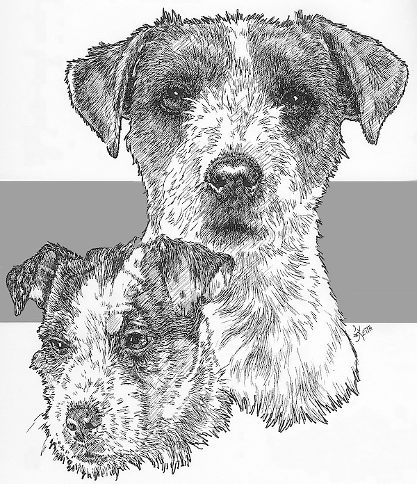 Barbara Keith - Jack Russell rough coat Terrier and Pup