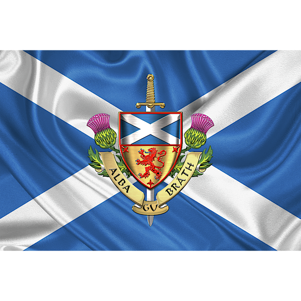Scotland Coat of Arms Alba Scots Scottish Pride Gaelic Juniors T-shirt 