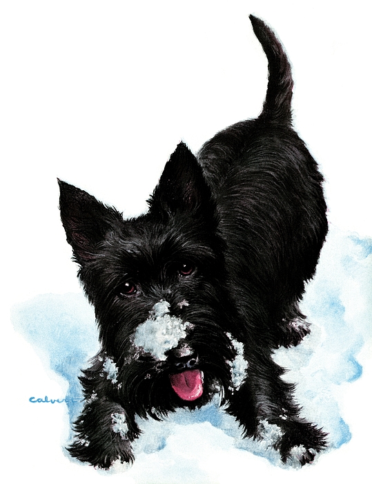 Animal Art
