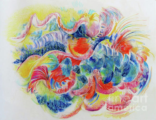 Fish Drawings