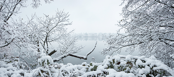 William Dunigan - Seattle Green Lake Snow
