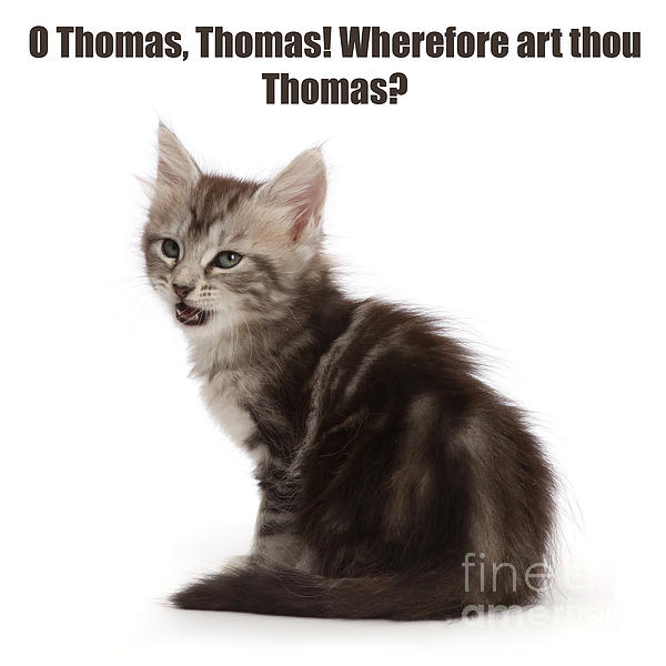 Funny Art