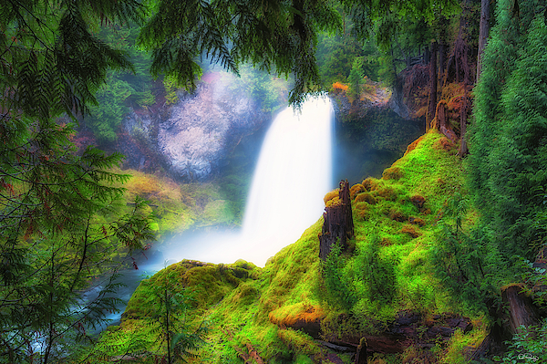 Dee Browning - Shalie Waterfalls
