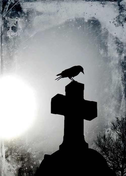 https://images.fineartamerica.com/images/artworkimages/medium/2/silhouette-of-a-gothic-crow-gothicrow-images.jpg