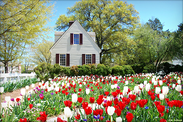 Marilyn DeBlock - Spring has Sprung in Colonial Williamsburg, Virginia