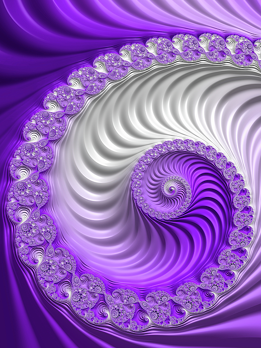 Matthias Hauser - Striped Fractal Spiral purple and white