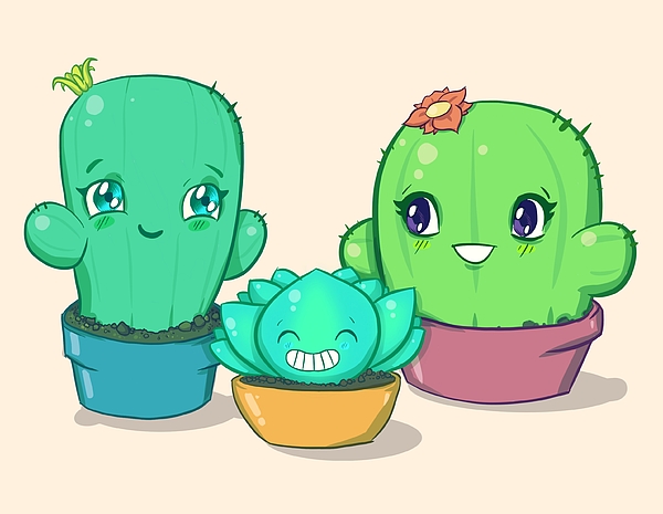 Succulents Drawing