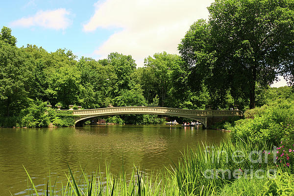Christiane Schulze Art And Photography - Summer Day In Central Park 