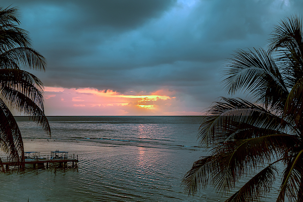 Artistic Photos - Sun Setting on the Ocean with Palm Trees
