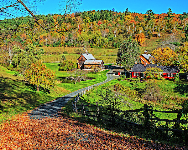 Sunny day on Sleepy Hollow Farm Woodstock Vermont Fall Foliage Greeting ...