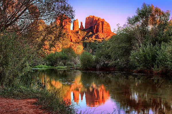 Arizona Art
