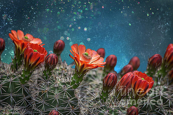 https://images.fineartamerica.com/images/artworkimages/medium/2/teal-spring-in-the-desert-elisabeth-lucas.jpg