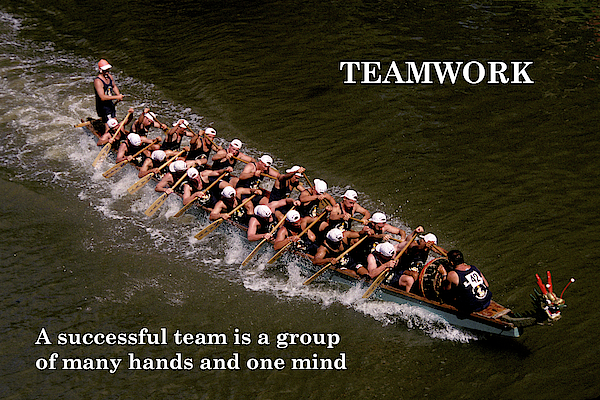 teamwork rowing poster