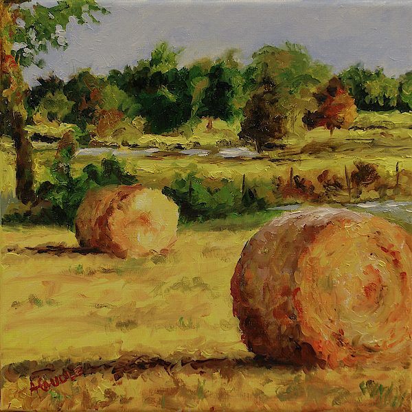 https://images.fineartamerica.com/images/artworkimages/medium/2/tennessee-hay-bales-ann-caudle.jpg