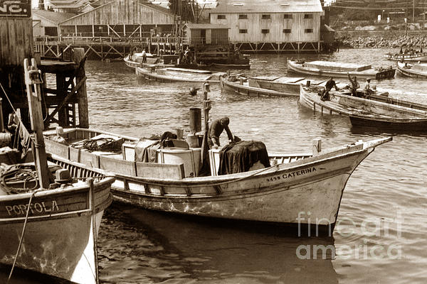 The Caterina and the Portola Monterey Clipper bow fishing boats 1920 Hand  Towel by Monterey County Historical Society - Fine Art America