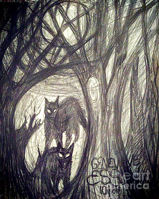 1000 images about Creepy Forest on Pinterest  Forests Haunted   Forest  drawing Dark art drawings Forest illustration