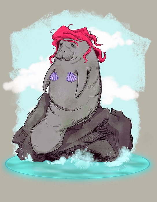The Little Manatee Drawing