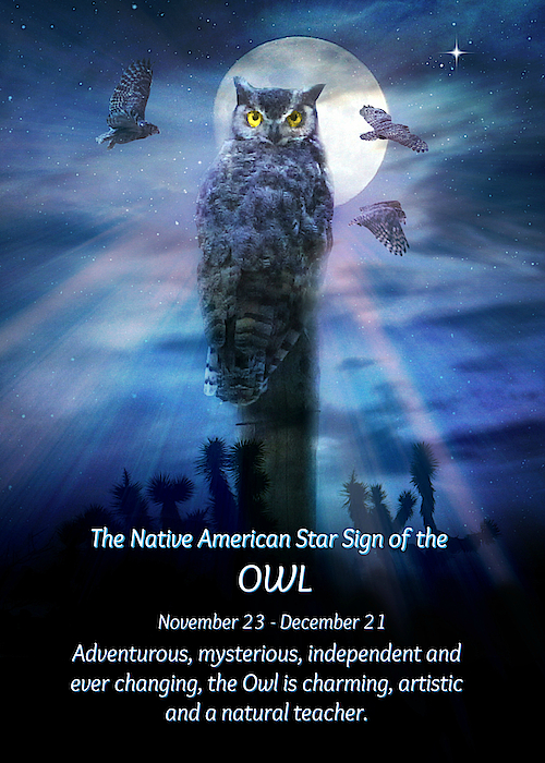 The Native American Star Sign Of The Owl Greeting Card For Sale By 