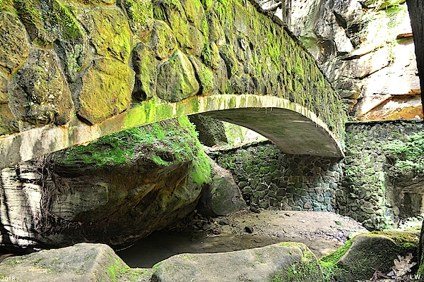 Lisa Wooten - The Stone Bridge In Old Mans Cave Hocking Hills Ohio