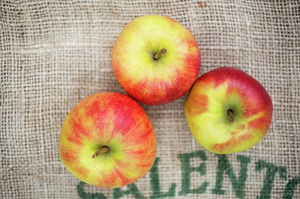 Fresh juicy apples on jute bag Tote Bag by B-d-s - Pixels