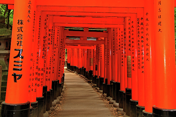 Japan Torii Gate Shinto T-shirt 