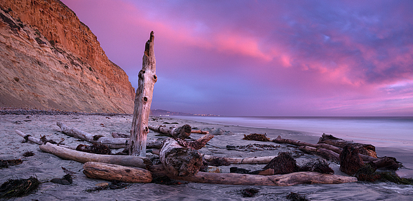 https://images.fineartamerica.com/images/artworkimages/medium/2/torrey-pines-beach-looking-south-william-dunigan.jpg