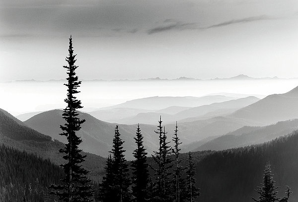 Tree Covered Mountains Greeting Card by Monte Nagler