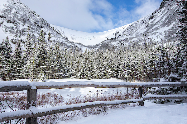 White Mountain Images - Tuckerman Ravine Winter Fence