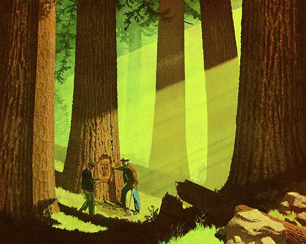 Two Men in Forest Stickers