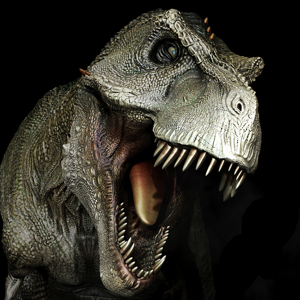 Tyrannosaurus Rex Dinosaur Head Front Iphone 5s Case For Sale By Robert Fabiani