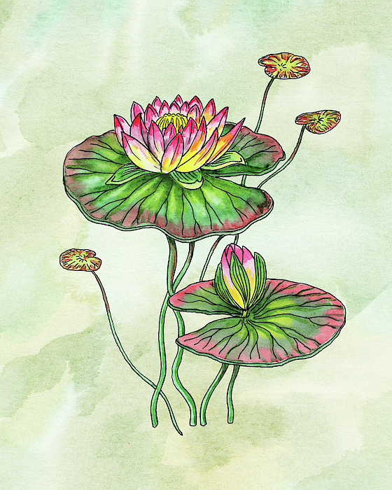 Irina Sztukowski - Watercolor Water Lily Botanical Flower