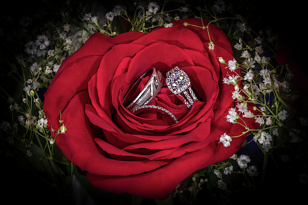 18K Rose Gold Men's Ring with Black Zirconium Inlay and Eternity Set B |  Revolution Jewelry